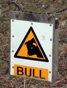 Sign reading `bull' 