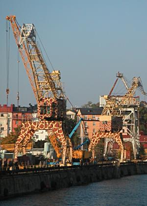 Giraffe-painted cranes on the Stockholm waterfront 
